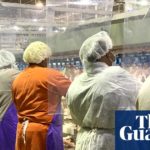 Major US meat producer warns 'food supply chain is breaking'
