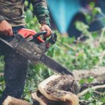Tree Surgeons Upminster: Find Those Whom You Can Trust