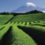 More of Japan's diverse meetings and events destinations